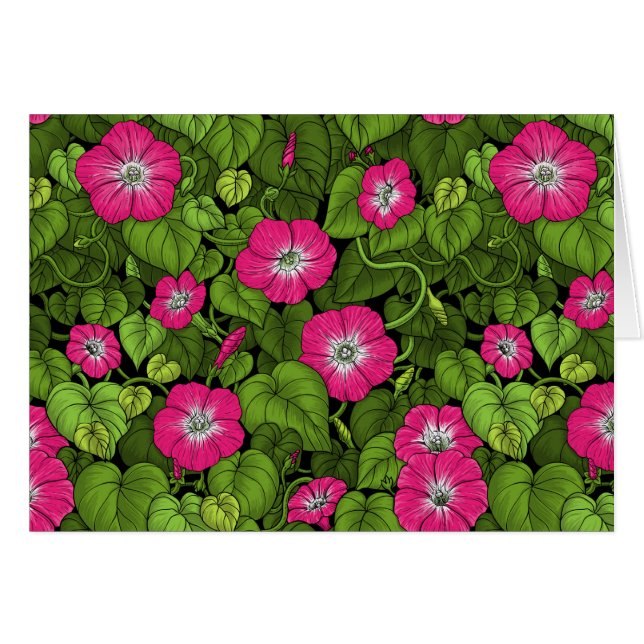 Morgenruhm in Rosa und Grün (Vorderseite (Horizontal))