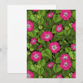Morgenruhm in Rosa und Grün (Vorne/Hinten)