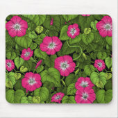 Morgenruhm in Rosa und Grün Mousepad (Vorne)