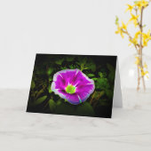 Morgenruhm, Karte (Gelbe Blume)