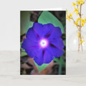 Morgenruhm, Karte (Gelbe Blume)