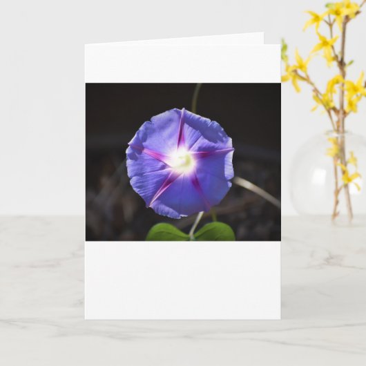 Morgenruhm, Karte (Gelbe Blume)