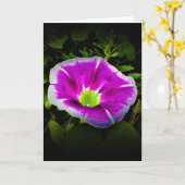 Morgenruhm, Karte (Gelbe Blume)