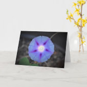 Morgenruhm, Karte (Gelbe Blume)
