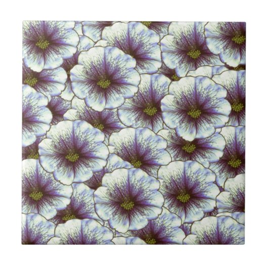 Morgenruhm Lila und weiß Fliese (Vorderseite)
