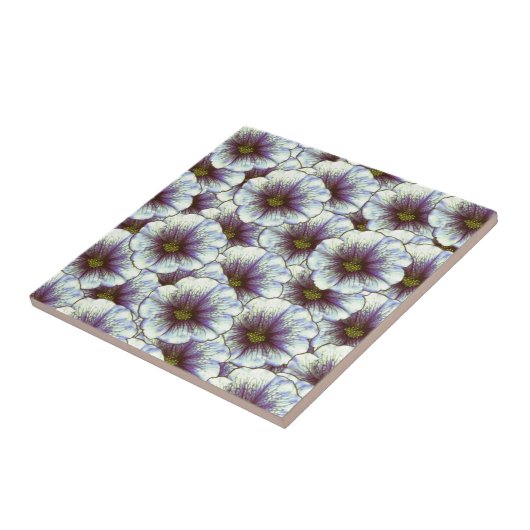 Morgenruhm Lila und weiß Fliese (Seite)