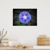 Morgenruhm Poster (Küche)