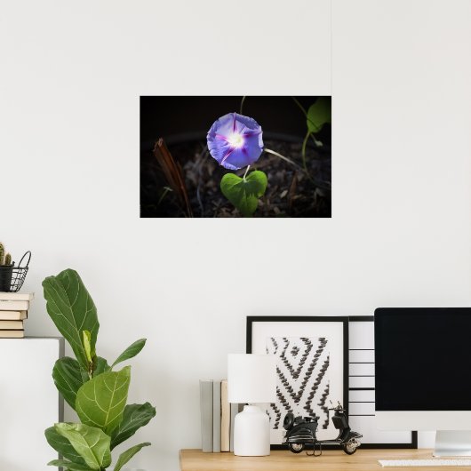 Morgenruhm Poster (Heimbüro)