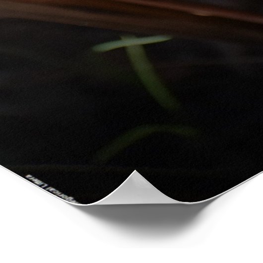 Morgenruhm Poster (Ecke)