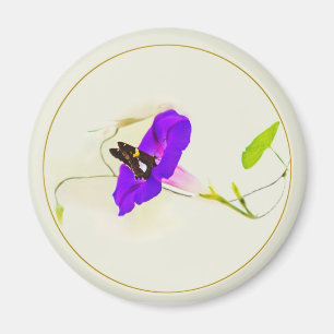 Morgenruhm und Schmetterling Magnet