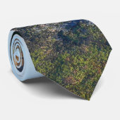 Morgens auf dem Cadillac Mountain at Acadia Krawatte (Gerollt)