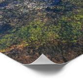 Morgens auf dem Cadillac Mountain at Acadia Poster (Ecke)