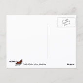 Morgens auf dem Cadillac Mountain at Acadia Postkarte (Rückseite)