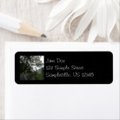 Morgens auf dem Weg zu den Vernal Falls in Yosemit (Insitu)