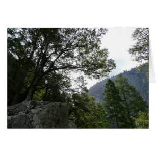 Morgens auf dem Weg zu den Vernal Falls in Yosemit