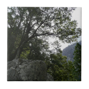 Morgens auf dem Weg zu den Vernal Falls in Yosemit Fliese