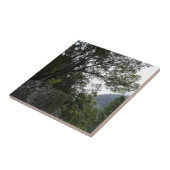 Morgens auf dem Weg zu den Vernal Falls in Yosemit Fliese (Seite)