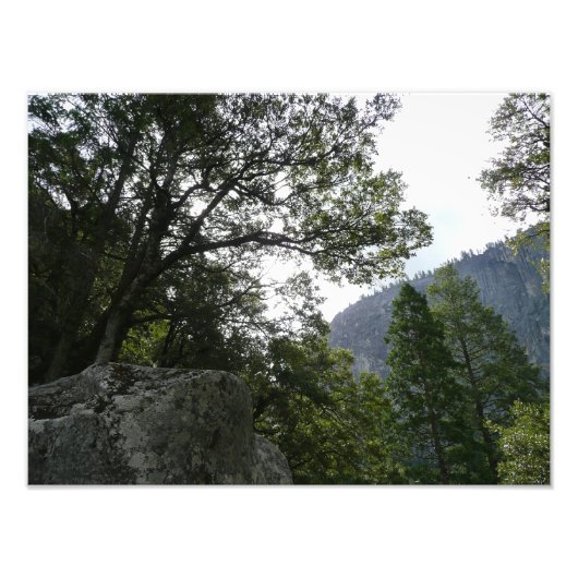 Morgens auf dem Weg zu den Vernal Falls in Yosemit Fotodruck (Vorne)