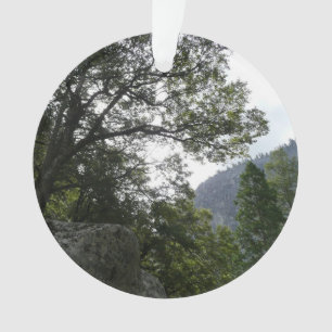 Morgens auf dem Weg zu den Vernal Falls in Yosemit Ornament