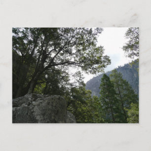 Morgens auf dem Weg zu den Vernal Falls in Yosemit Postkarte