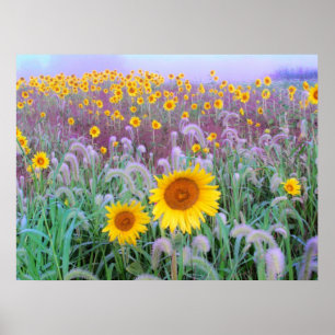 Morgens Druck Poster