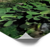 Morgens in Colca Canyon Poster (Ecke)