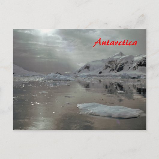 Morgens in der Antarktis Postkarte (Vorderseite)