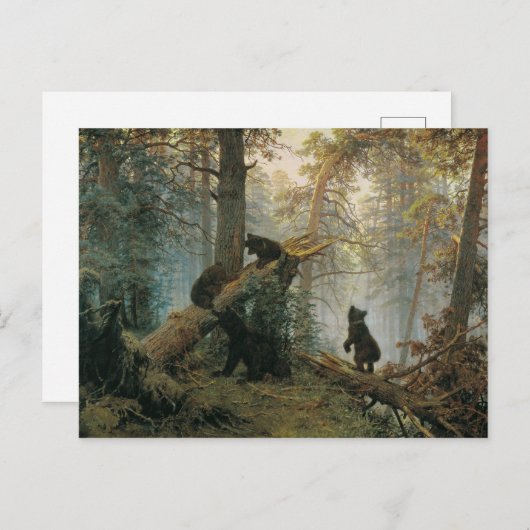 Morgens in einem Kiefernwald Postkarte (Vorne/Hinten)