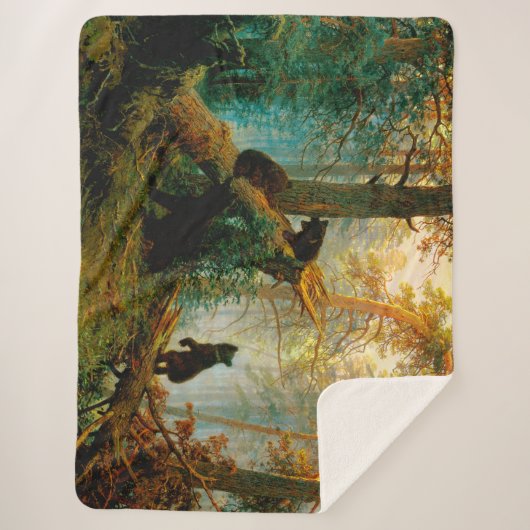 Morgens in einem Pinienwald Bären mit Cubs Shishki Sherpadecke (Vorderseite)