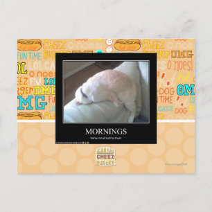 Morgens Postkarte