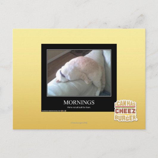 Morgens Postkarte (Vorderseite)