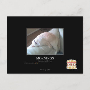 Morgens Postkarte