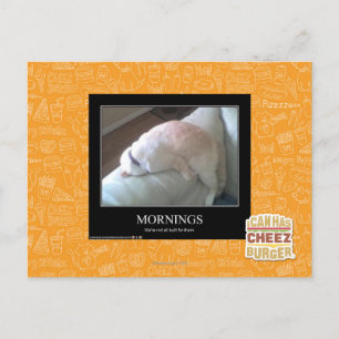 Morgens Postkarte