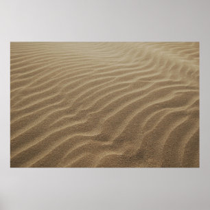 Morgens Sanddünen Poster