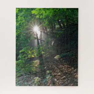 Morgens Sonnenbäume durch den Wald von Kaposia Par Puzzle
