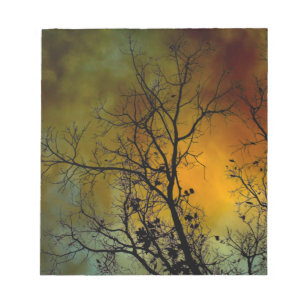 Morgens stürmisch mit einem Baumnotizblock Notizblock