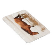 Morgenschwimmen für ein Pferd Magnet (Rechte Seite)