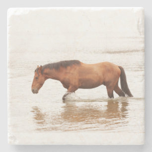 Morgenschwimmen für ein Pferd Steinuntersetzer