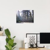 Morgensonne am General Grant Tree Poster (Heimbüro)