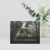 Morgensonne durch Bäume, Effigy Mounds, IA Postkarte (Stehend Vorderseite)