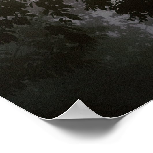 Morgensonne durch Dschungel Poster (Ecke)