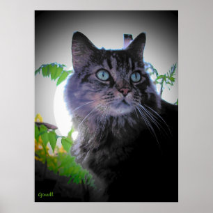 Morgensonne ist auf poster