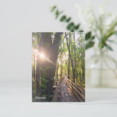 Morgensonnenaufgang in Florida Postkarte (Stehend Vorderseite)