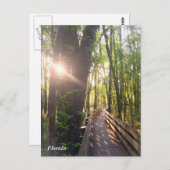 Morgensonnenaufgang in Florida Postkarte (Vorne/Hinten)