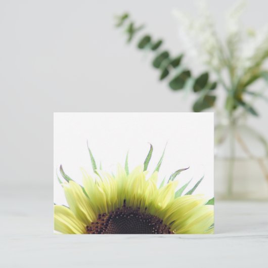 Morgensonnenblume Postkarte (Stehend Vorderseite)