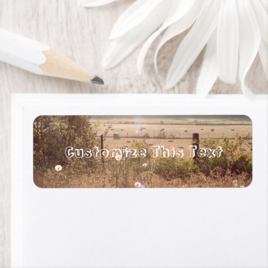 Morgensonnenlicht (Insitu)