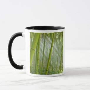 Morgensonnenlicht durch Bambus filtern Tasse