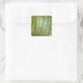 Morgensonnenlicht durch Bambus filtriert Quadratischer Aufkleber (Tasche)