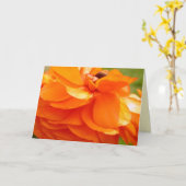 Morgensonnenlicht Karte (Gelbe Blume)