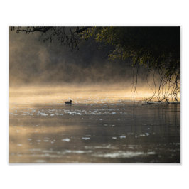 Morgenstimmung Fotodruck